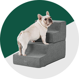Pet Gear