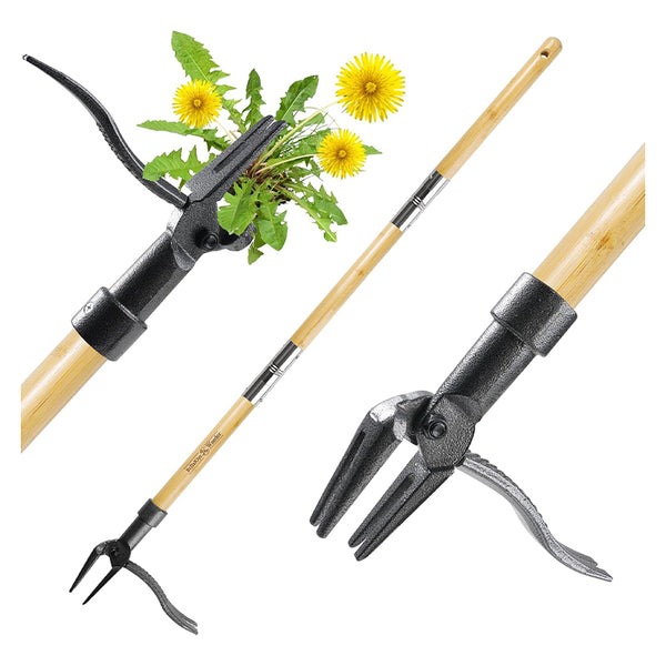 Sakerplus® Weeder Tool