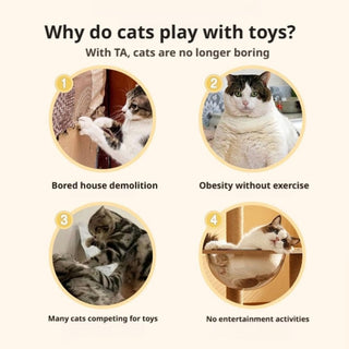 Juguete interactivo para gatos Sakerplus® Juego de persecución automático