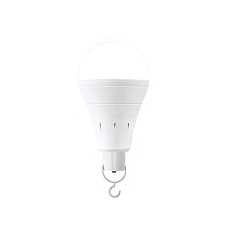 Sakerplus® Emergency Light Bulbs For Home