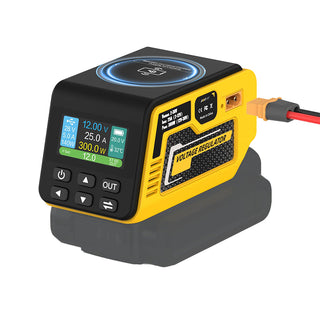 Sakerplus® Portable Adjustable Voltage Power Converter