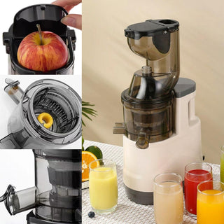 Sakerplus Slow Masticating Cold Press Juicer