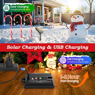 Sakerplus® Solar Candy Cane Christmas Lights