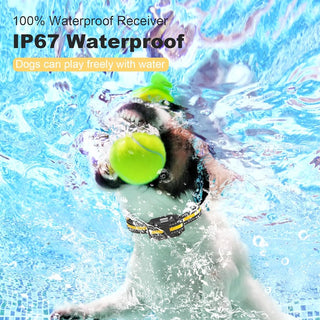 Sakerplus Waterproof Dog Training Collar with Remote