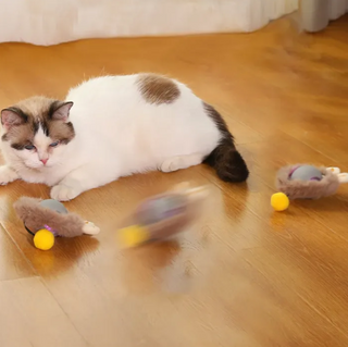 Sakerplus® Interactive Cat Toy Ball For Indoor Cats