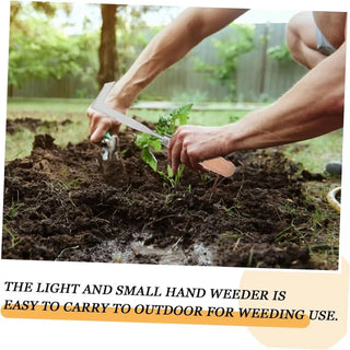 Sakerplus® Beech Wood Crack Weeder Tool