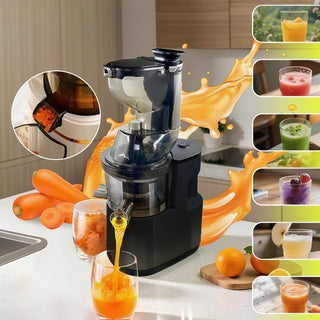 Sakerplus Slow Masticating Cold Press Juicer