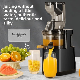 Sakerplus Slow Masticating Cold Press Juicer
