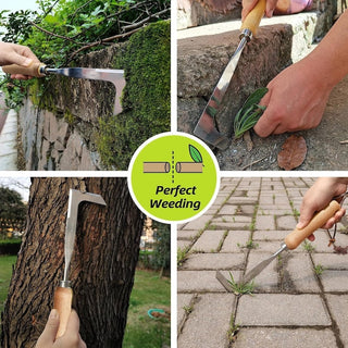 Sakerplus® Beech Wood Crack Weeder Tool