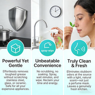 Sakerplus® Electrolyzed Ion Kitchen Cleaner Spray