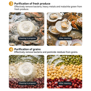 Sakerplus® Fruit Vegetable Cleaning Machine