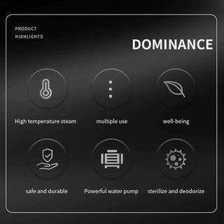 Limpiador desinfectante a vapor Sakerplus®