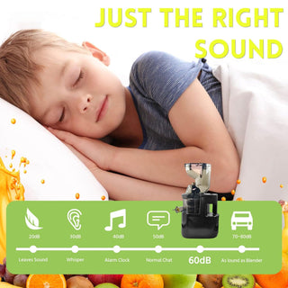 Sakerplus Slow Masticating Cold Press Juicer