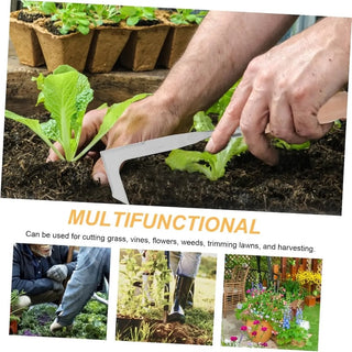 Sakerplus® Beech Wood Crack Weeder Tool