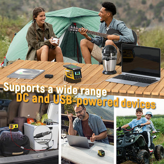 Sakerplus® Portable Adjustable Voltage Power Converter