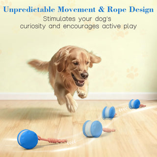 Pelota de juguete automática interactiva para perros Sakerplus®