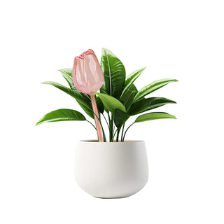 Sakerplus® Self Watering Globes For Plants