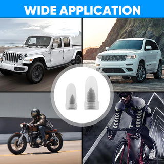 Auto Tire Repair Nail