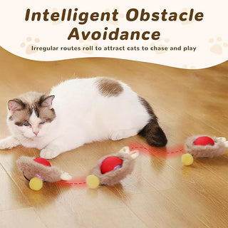 Sakerplus® Interactive Cat Toy Ball For Indoor Cats