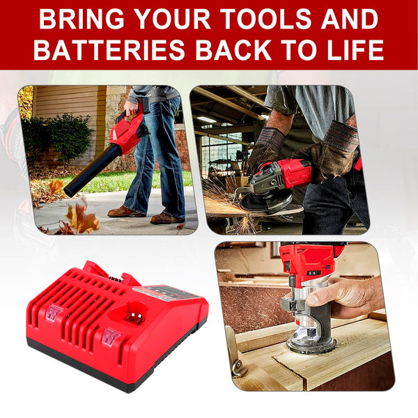 Sakerplus® Multi Voltage Battery Charger Replacement