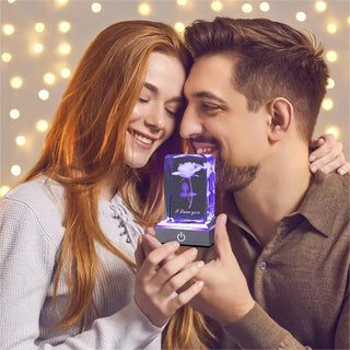 Sakerplus® 3D Rose Crystal Night Lamp