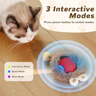 Sakerplus® Interactive Cat Toy Ball For Indoor Cats