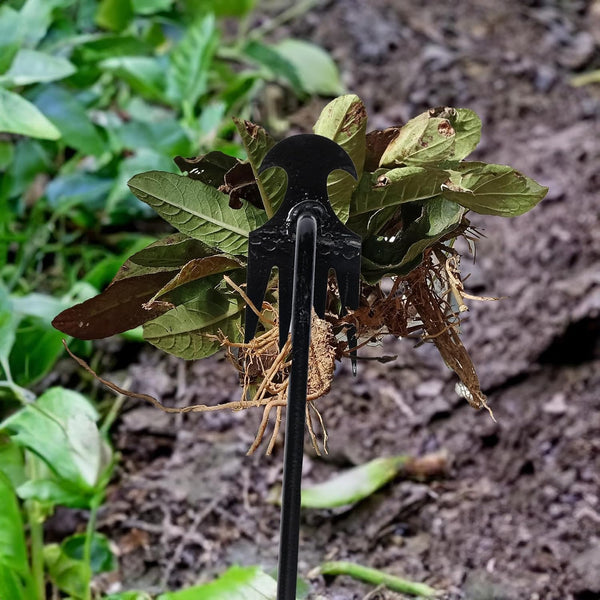 Herramienta para arrancar malas hierbas del jardín Sakerplus
