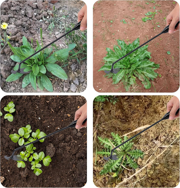Herramienta para arrancar malas hierbas del jardín Sakerplus