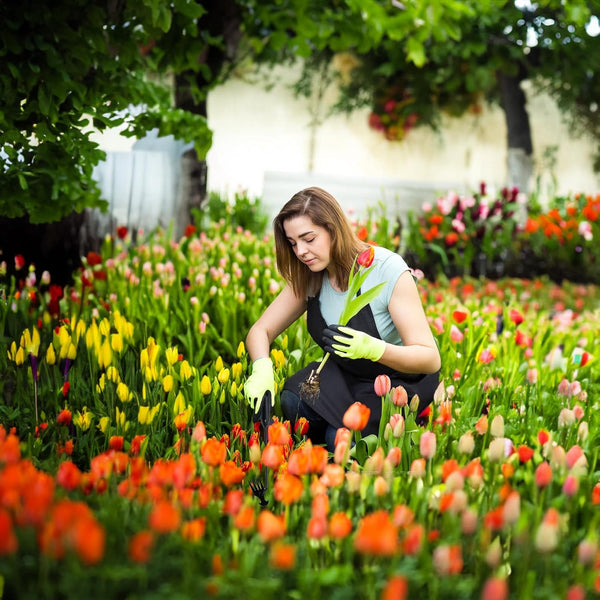 Herramienta para arrancar malas hierbas del jardín Sakerplus
