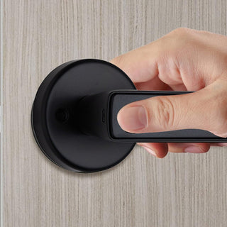 Sakerplus Smart Keyless Entry Door Lock