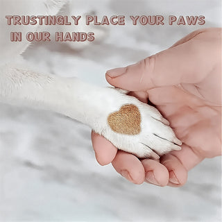 Sakerplus® Dog Nail File Scratch Board