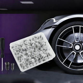 Auto Tire Repair Nail