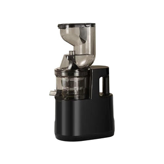 Sakerplus Slow Masticating Cold Press Juicer