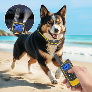 Sakerplus Waterproof Dog Training Collar with Remote