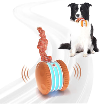 Sakerplus® Interactive Automatic Dog Toy Ball